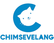 sptmaggic.com favicon